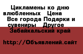 Цикламены ко дню влюбленных › Цена ­ 180 - Все города Подарки и сувениры » Другое   . Забайкальский край